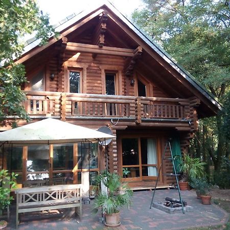 Holzhaus Am See Zernsdorf Oda fotoğraf